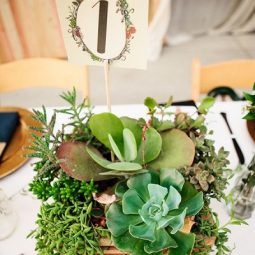 Succulent plants fall wedding centerpiece.jpg