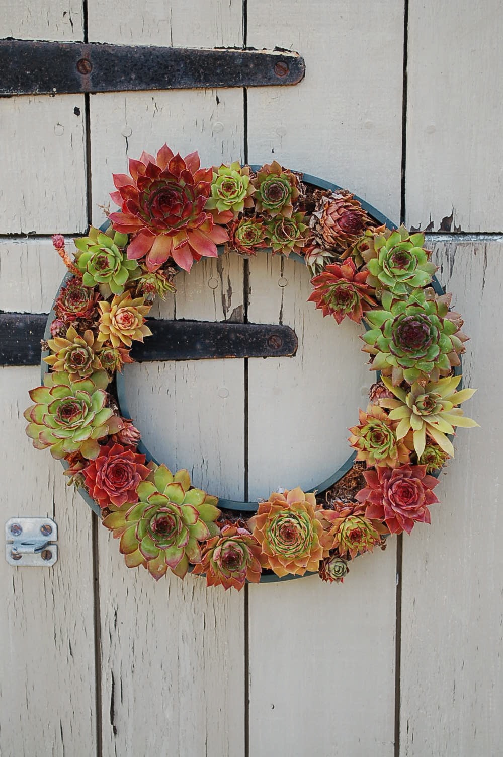 Tire used as base for succulent wreath.jpg