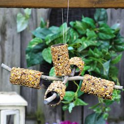 Paper craft easy bird feeders.jpg