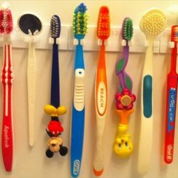 Alle Zahnbürstenhalter selber machen zusammengefasst
