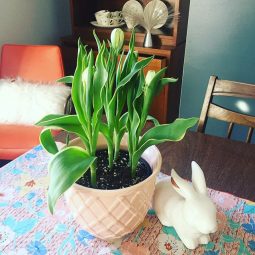 38 easy easter decoration ideas for your house 11.jpg