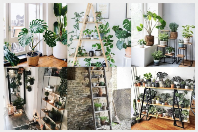 Sehr coole Deko-Ideen mit Zimmerpflanzen :) 