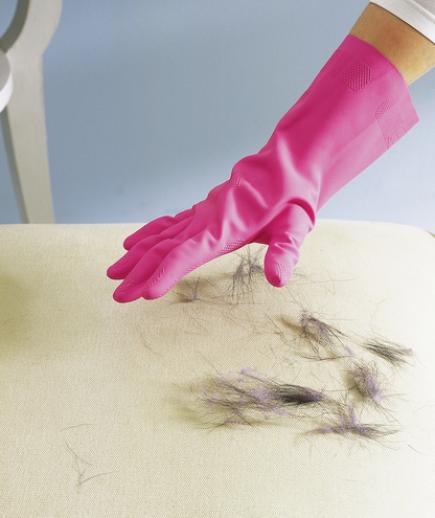 Cleaning up dog hair with just a rubber glove.jpg