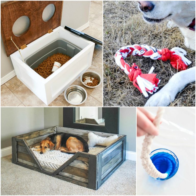 Diy projects for dogs 768x768.jpg