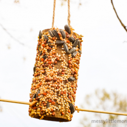Peanut butter bird feeder 8.png