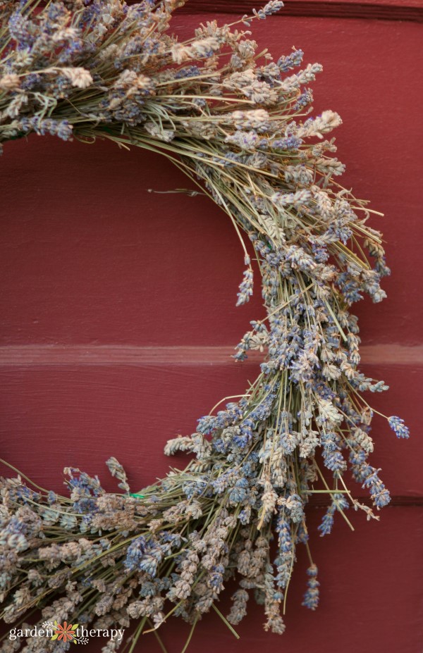 Dried lavender wreath on a red door.jpg