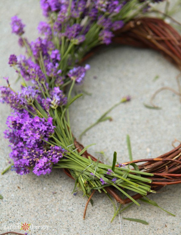 How to make a lavender wreath.jpg