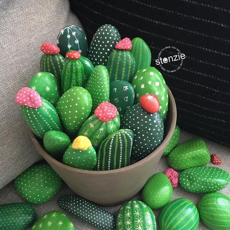 Rocks cactus.jpg