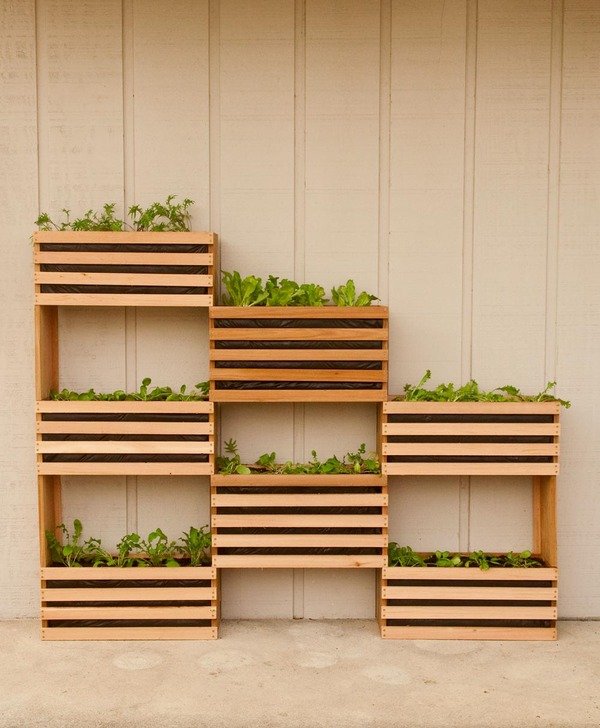 How to make a vertical garden feature 3_large.jpg