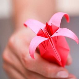 Blumen falten kinder origami rosa lilie fertig.jpeg