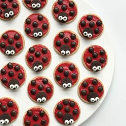 Rhicreative ladybug biscuits.jpg