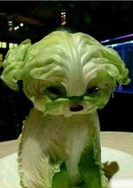 Getting creative with fruits and vegetables lettuce puppy momooze.com picturesque playground for moms.jpg
