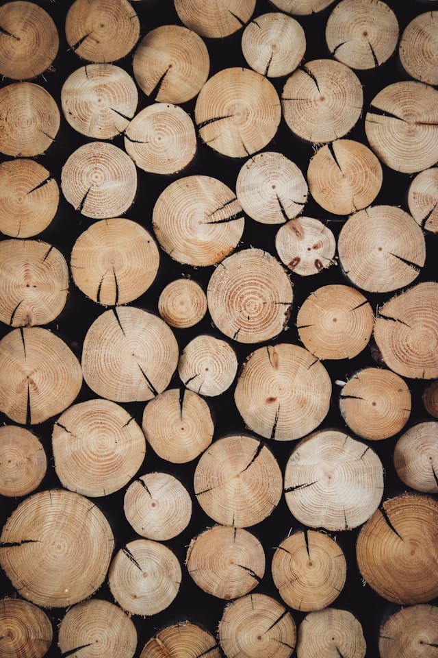 Alexandre jaquetoni 6yelwdi3re8 unsplash.jpg