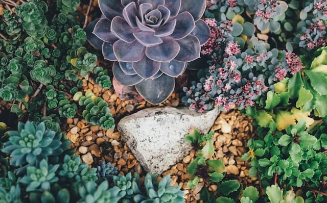 Annie spratt hs46bsaaswq unsplash.jpg