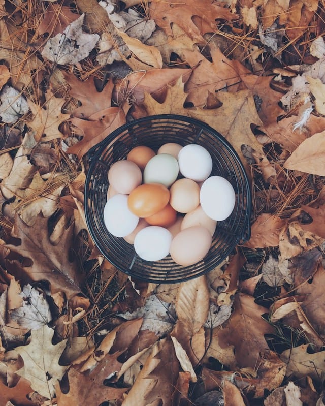 Autumn mott rodeheaver ylyxxawzm4w unsplash.jpg