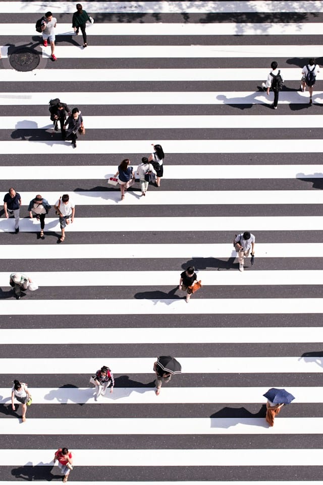 Ryoji iwata n31jplu8_pw unsplash.jpg