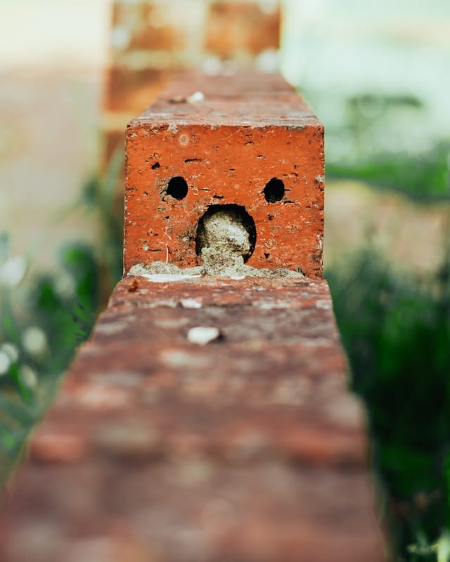 Harry grout ne_vmo5wfwk unsplash.jpg