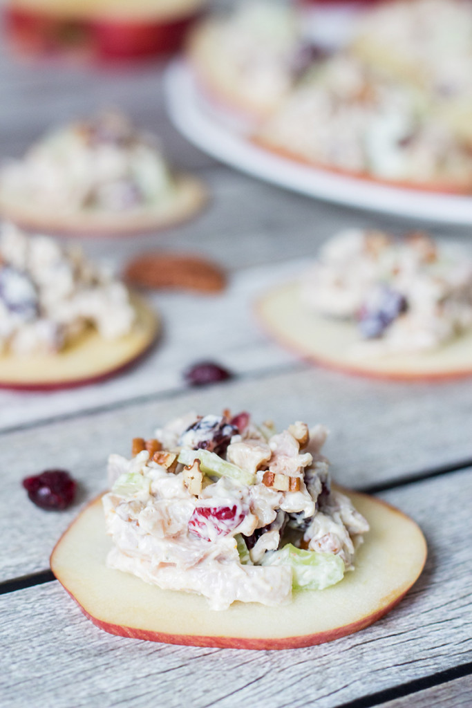 Cranberry chicken salad on apple slices 3 683x1024.jpg