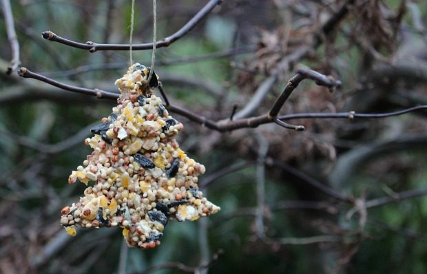 Birdseed ornaments 1.jpg