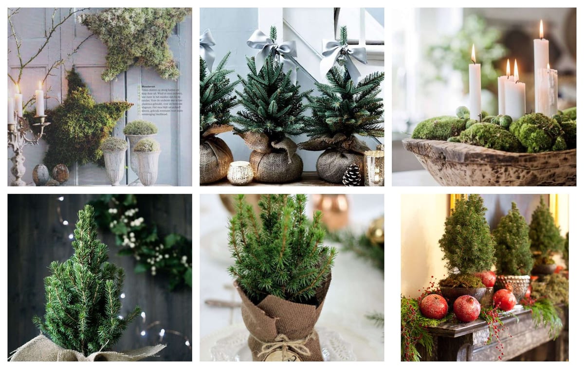 Bringt die Natur ins Haus: winterliche Dekoideen mit Naturmaterialien :)