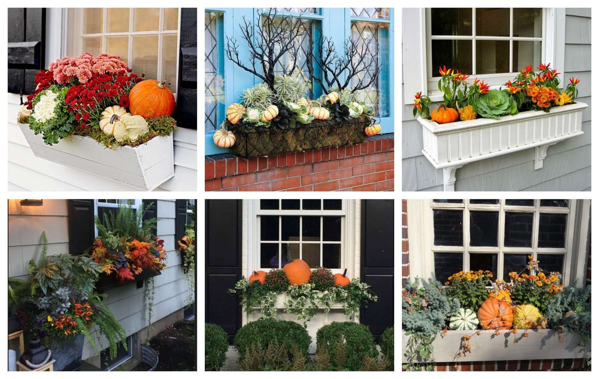Blumenkästen herbstlich dekorieren – wunderschöne Ideen :)