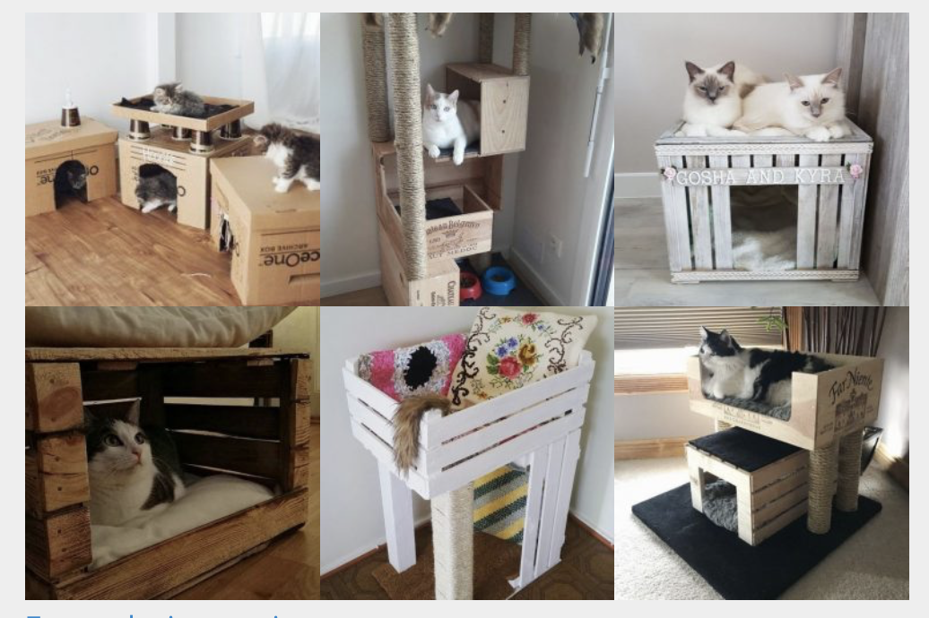 DIY Katzenbett aus Wein- oder Obstkisten zum Selbermachen :)