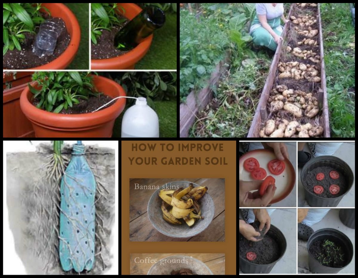 Gartenarbeit – praktische Tipps und Ideen!