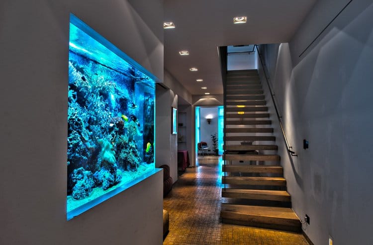 Aquarium als ein Deko-Element für das Interieur