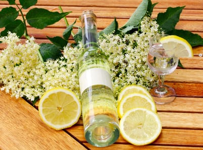 Holunderblütensaft – Rezept