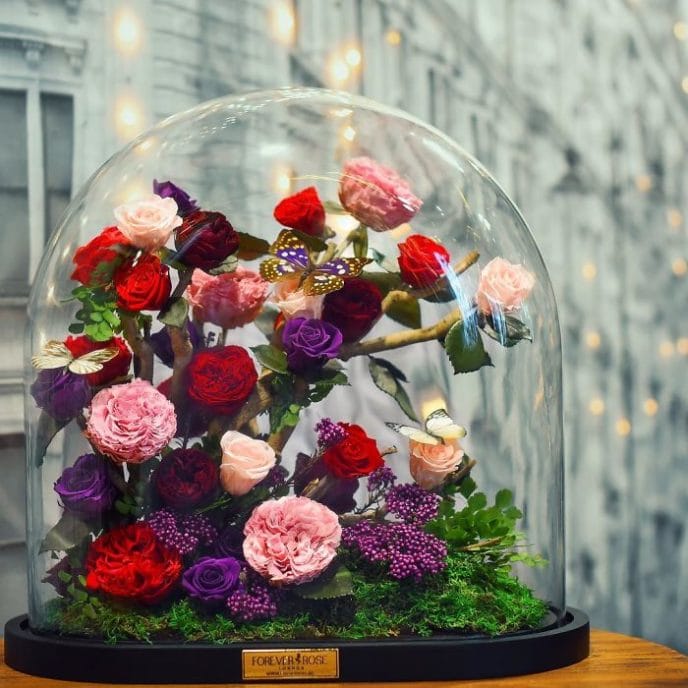 Wunderschöne romantische Rosen im Glas