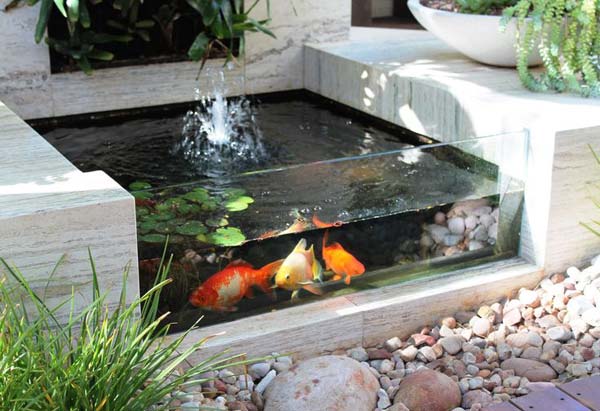 Coole Outdoor-Aquarien