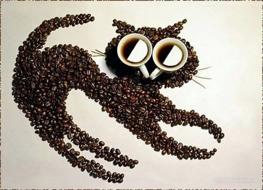 Lustige Bilder aus Kaffeebohnen
