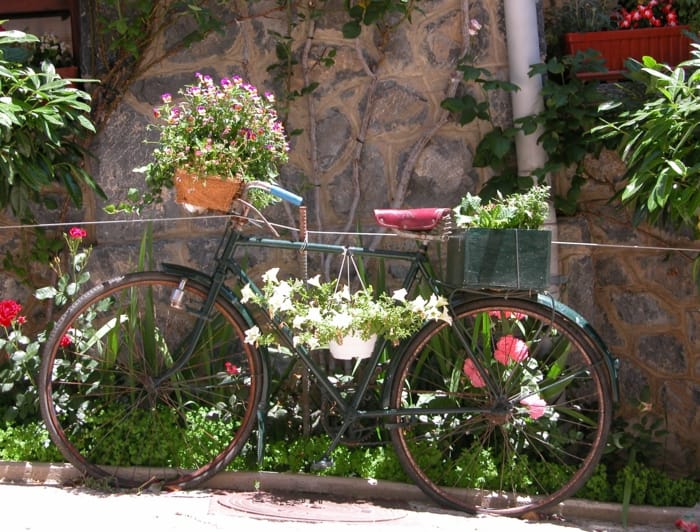 Altes Fahrrad im Garten ;)