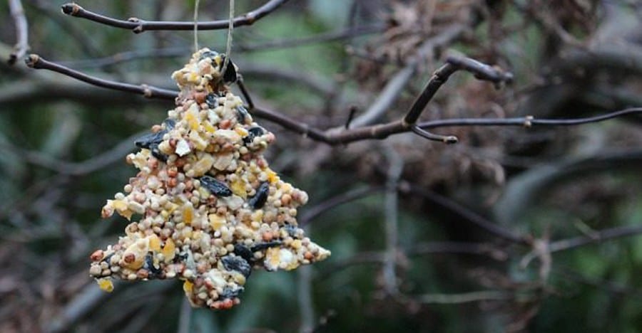 Nette Weihnachtsornamente aus Vogelfutter (Anleitung)