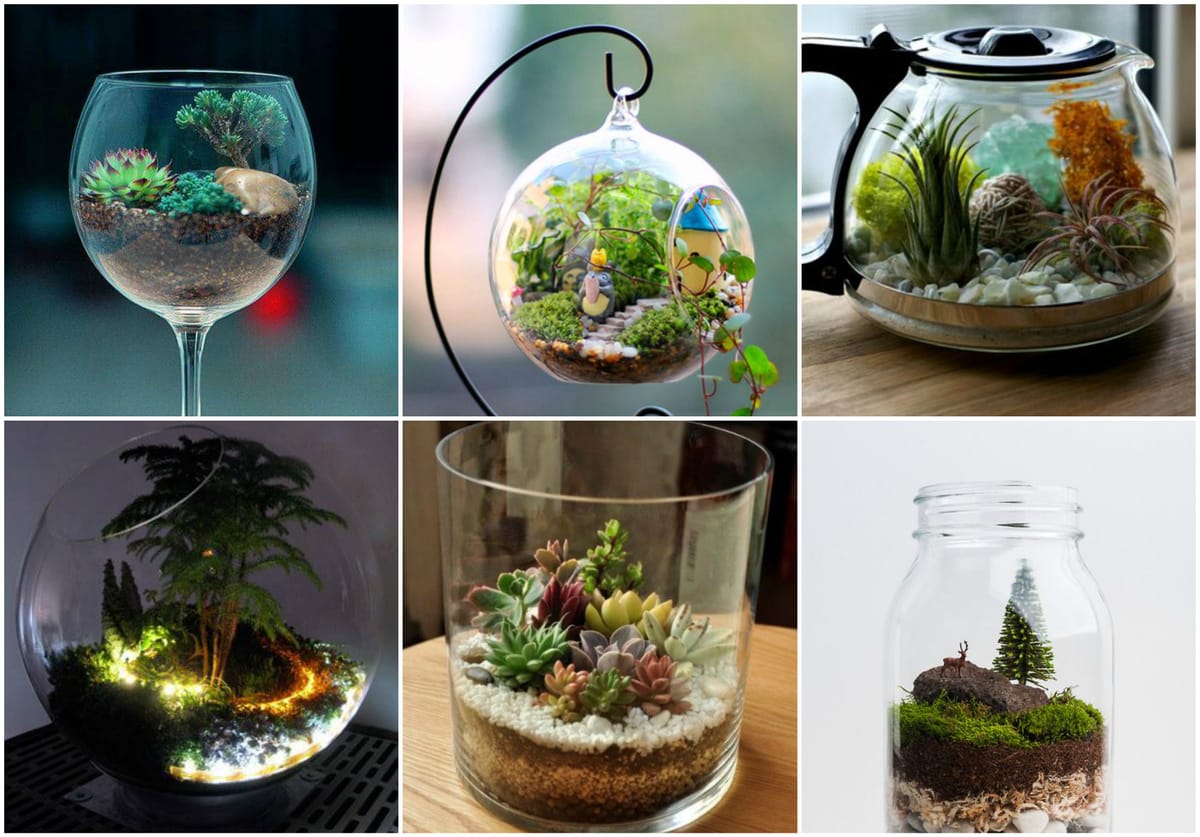 Einzigartige Mini Terrarium Ideen + DIY Anleitung :)