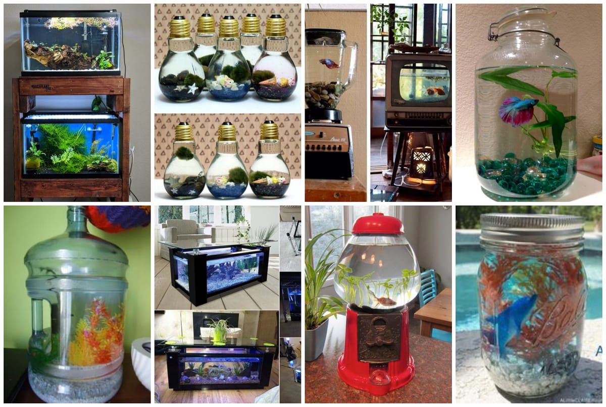 Aquarium selber machen – 10+ kreative Ideen