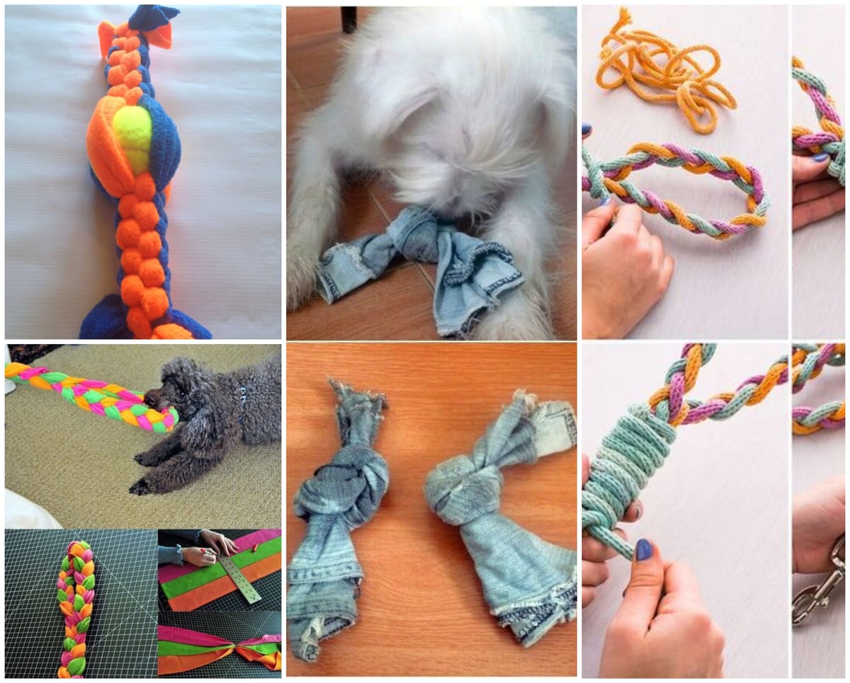 DIY Hundespielzeuge: kreative Ideen für deinen Hund