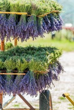 Nette (Diy) Inspirationen zur Hausdekoration mit Lavendel