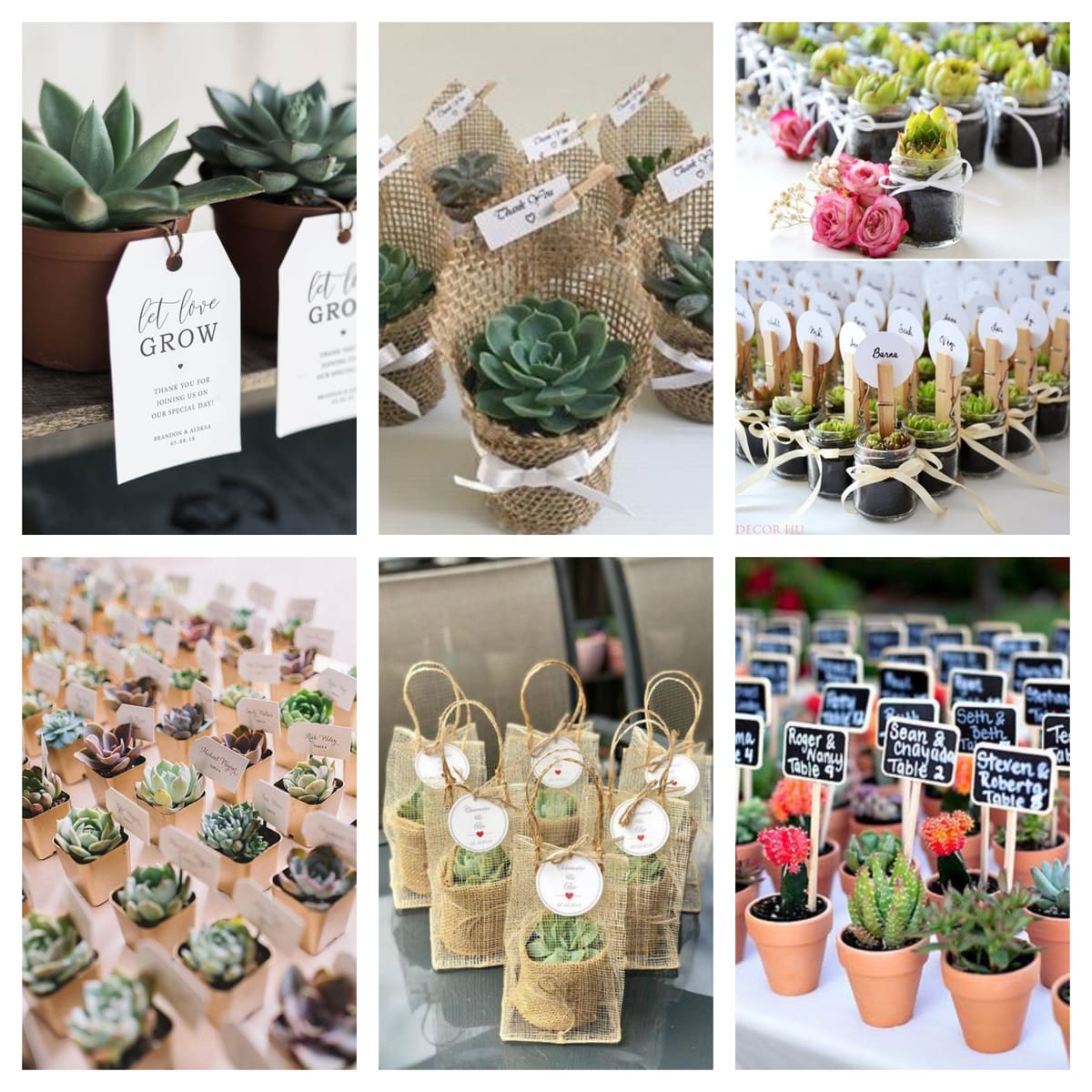 Süße Hochzeitsbevorzugungen für Gäste – Sukkulenten und Kaktus-Ideen