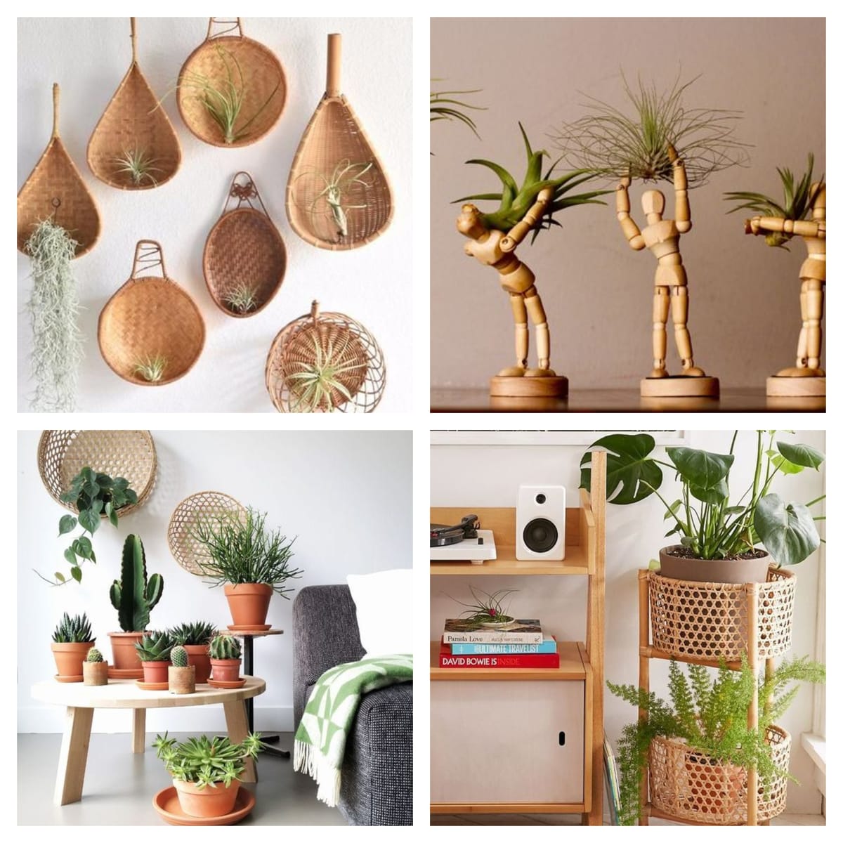 Wohnung – Wunderschöne Ideen mit Pflanzen