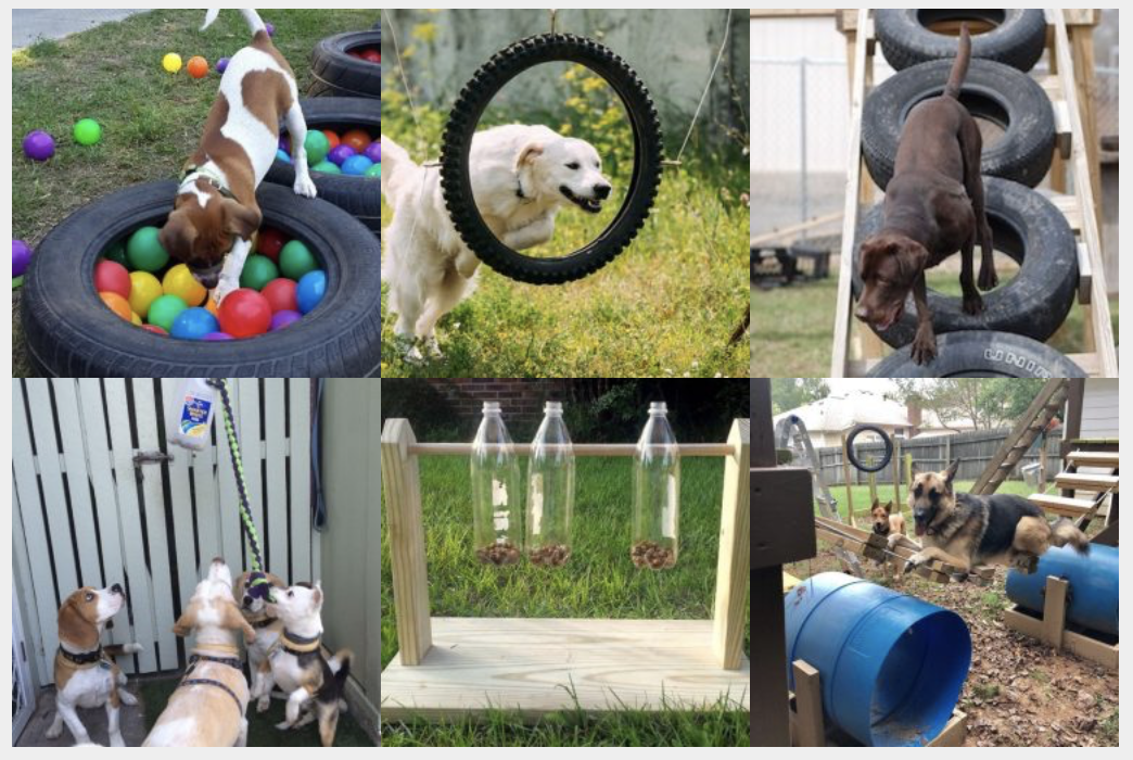 Hund zuhause beschäftigen: die besten DIY Outdoor Spielmöglichkeiten :)