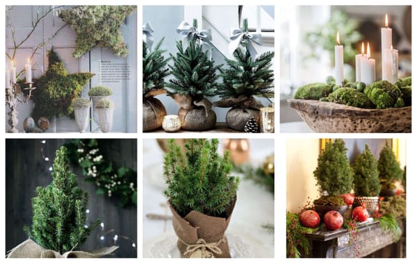 Bringt die Natur ins Haus: winterliche Dekoideen mit Naturmaterialien :)
