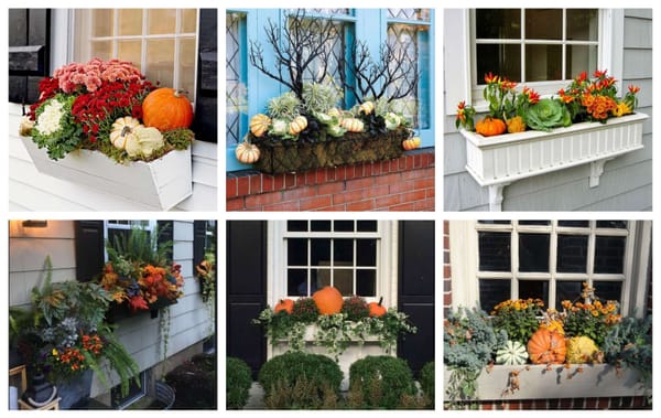 Blumenkästen herbstlich dekorieren – wunderschöne Ideen :)
