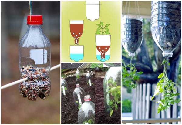 10+ Kreative Diy-Ideen mit PET-Flaschen für den Garten! :)