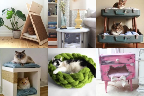 Hübsche Katzenbettchen zum Selbermachen