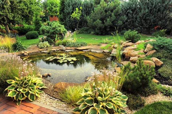 Fotoanleitung: Wie baut man einen Gartenteich