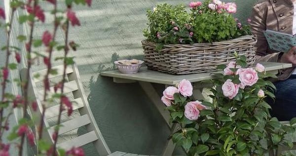 Rosen am Balkon :)
