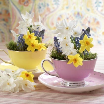 Blumenarrangements in Tassen :)