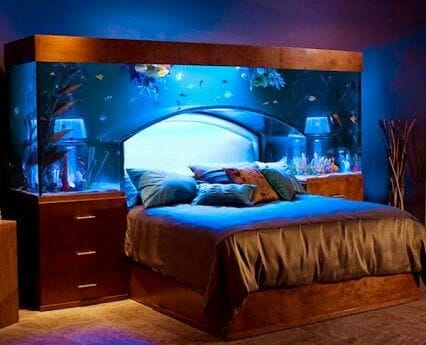 Wie wähle ich das richtige Aquarium für Zuhause?