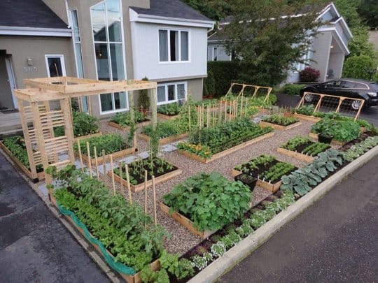 Gemüsegarten vor der Haustür :)